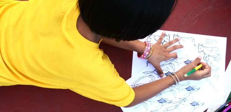 Educational-Opportunities